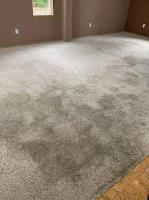 Carpet Cleaning Waterloo image 3